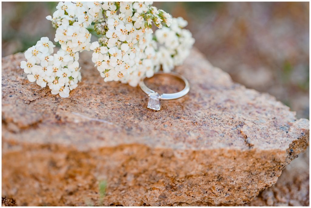 Bogus Basin Engagement Session